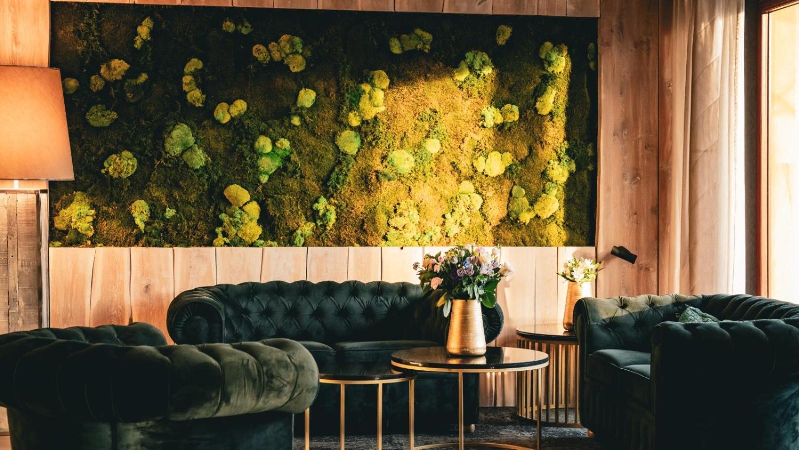 Hotel & Medi-Spa Bialy Kamien Świeradów-Zdrój المظهر الخارجي الصورة